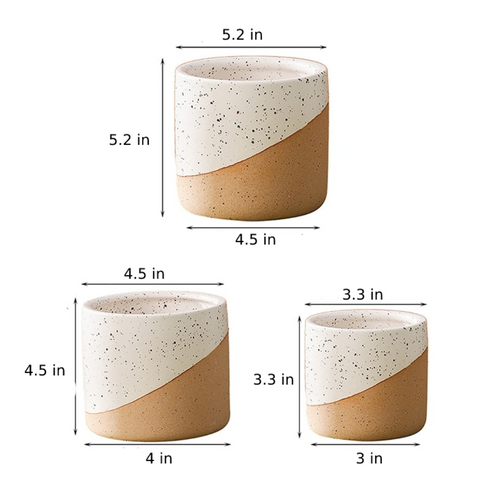Urbanedge Ceramic Planters