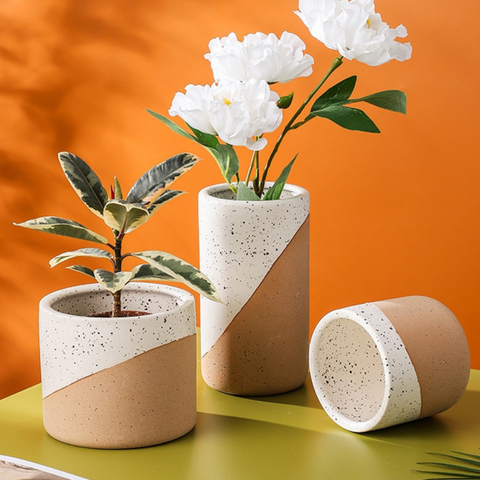 Urbanedge Ceramic Planters