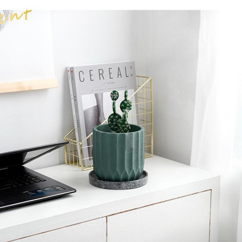 Pureates Textured Ceramic Planters