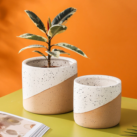 Urbanedge Ceramic Planters