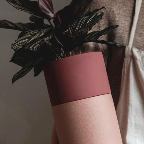 Evogrow Colorful Porcelain Planters