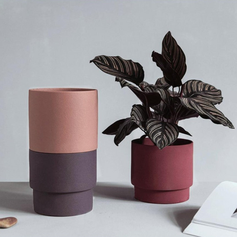 Elevate Your Home Decor: 5 Types Of Planters For Your Home