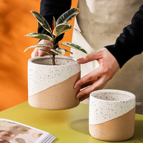 Urbanedge Ceramic Planters