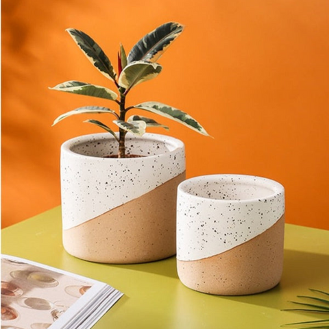 Urbanedge Ceramic Planters