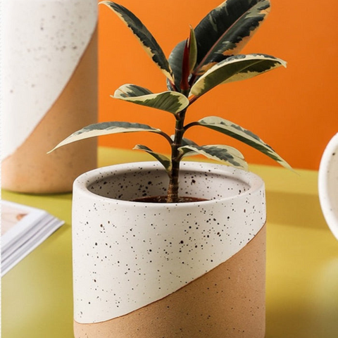 Urbanedge Ceramic Planters