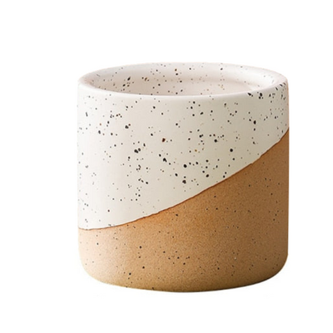 Urbanedge Ceramic Planters