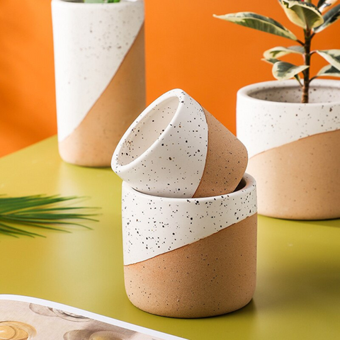 Urbanedge Ceramic Planters