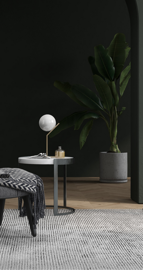 Home Accessories