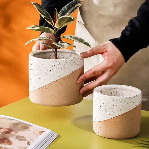 Urbanedge Ceramic Planters