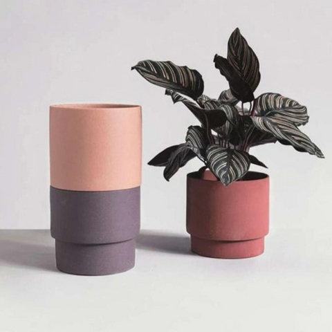 Evogrow Colorful Porcelain Planters