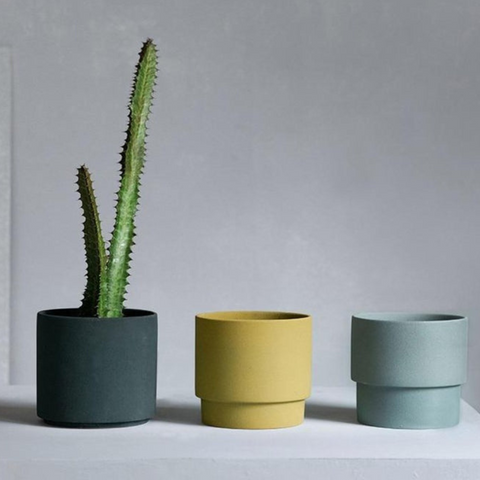 Evogrow Colorful Porcelain Planters