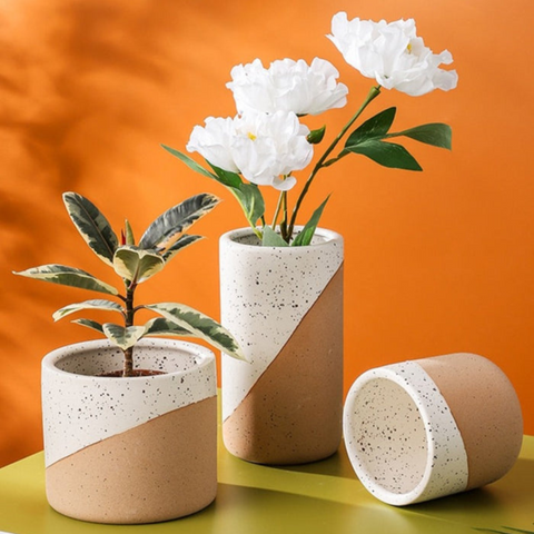 Urbanedge Ceramic Planters