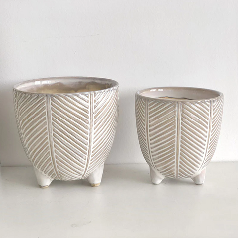 Pristineflora Ceramic Planters
