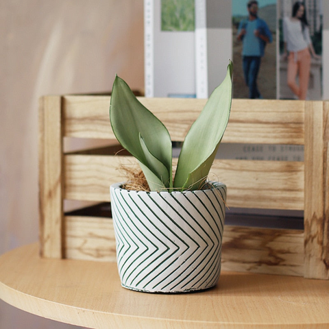 Leafzen Painted Ceramic Planters