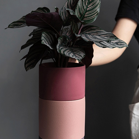 Evogrow Colorful Porcelain Planters