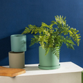 Indoor Planter With Saucer