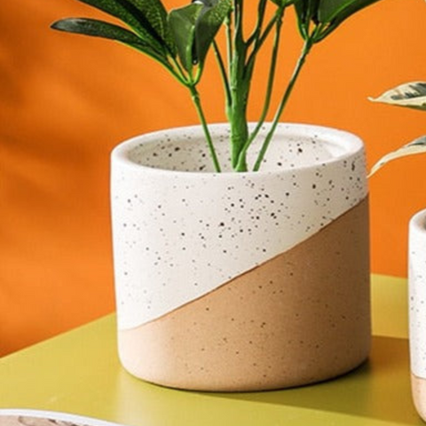 Urbanedge Ceramic Planters